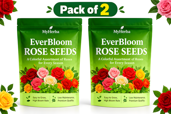 MyHerba EverBloom Rose Seeds with Plant Booster – Mixed Colours (Pack of 2)